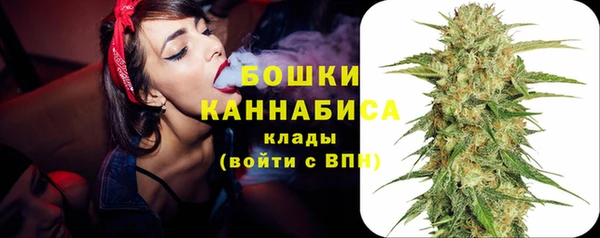 PSILOCYBIN Белокуриха